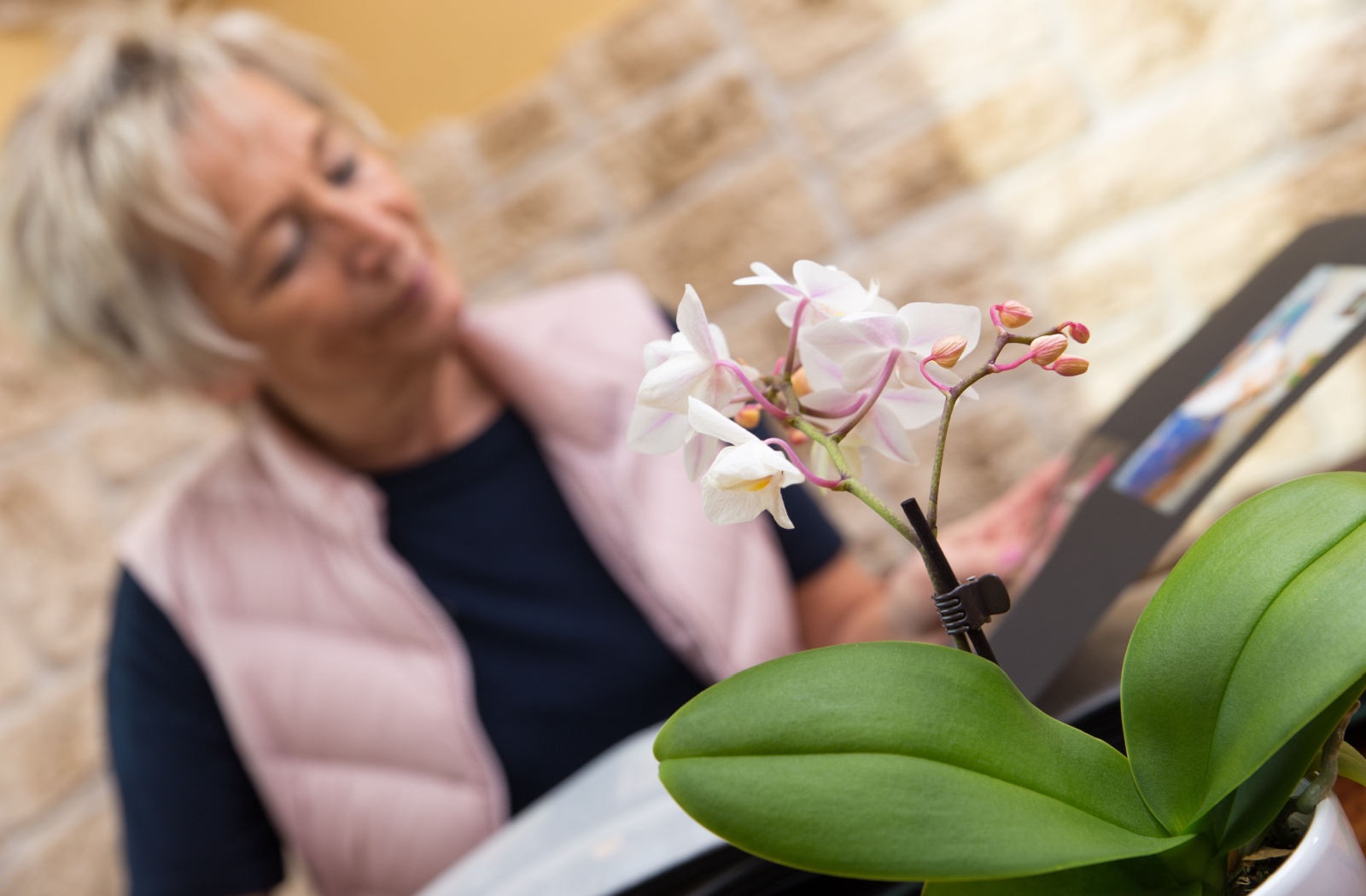 An adult-child of a senior parent flips through a photo album by a blooming orchid.